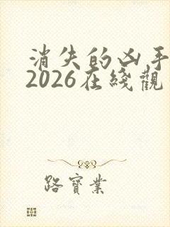 消失的凶手网剧2026在线观看封面
