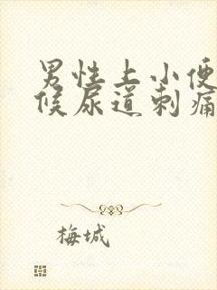 男性上小便的时候尿道刺痛