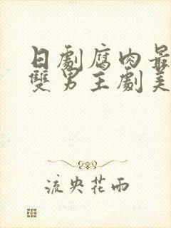 日剧腐肉最多的双男主剧美丽的他