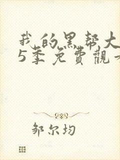 我的黑帮大佬第5季免费观看