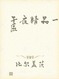 午夜精品一区2区