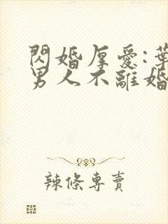 闪婚厚爱:叶家男人不离婚免费全文阅读