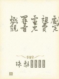 燃罪电视剧在线观看免费完整封面