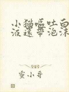 小猫呕吐白色粘液还带泡沫不吃东西