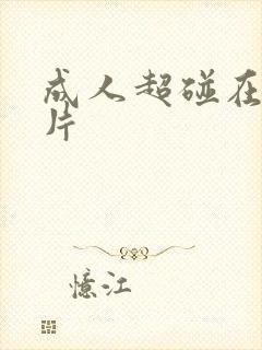 成人超碰在线毛片