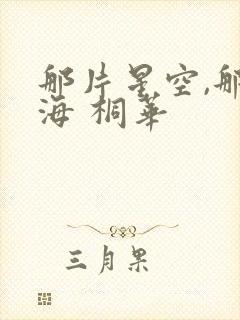 那片星空,那片海 桐华