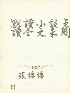 默读小说免费阅读全文未删减封面