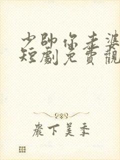 少帅你老婆又跑短剧免费观看