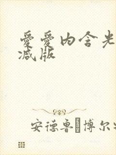 爱爱内含光无删减版