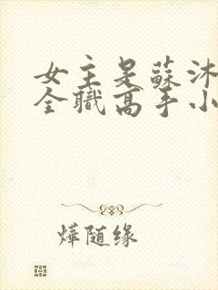 女主是苏沐橙的全职高手小说封面