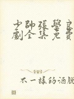 少帅张学良电视剧全集免费观看高清