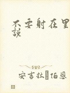 不要射在里面小说