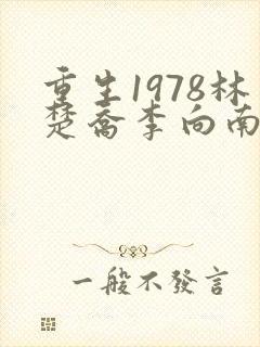 重生1978林楚乔李向南封面