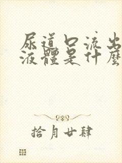 尿道口流出黄色液体是什么原因