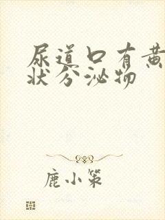 尿道口有黄色脓状分泌物