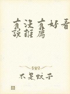 有没有好看的小说推荐