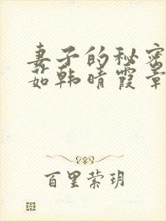 妻子的秘密林雅茹韩晴霞章毅封面