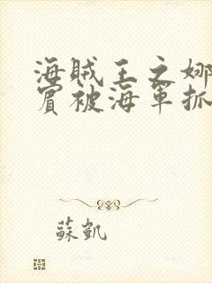 海贼王之娜美罗宾被海军抓住