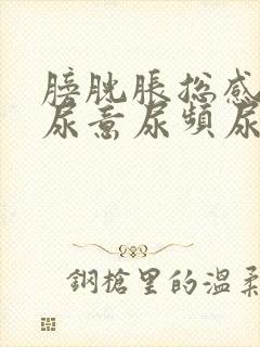 膀胱胀总感觉有尿意尿频尿量少