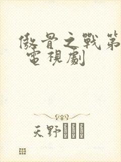 傲骨之战第五季 电视剧封面