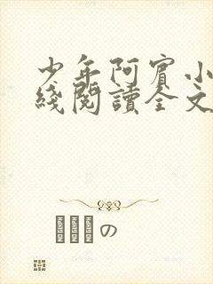 少年阿宾小说在线阅读全文免费封面