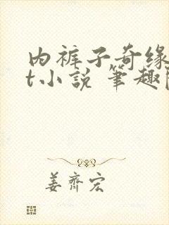 内裤子奇缘txt小说 笔趣阁