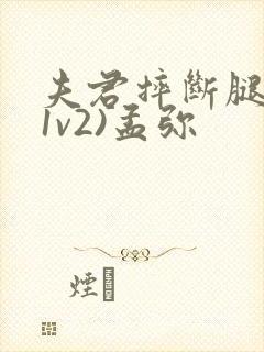 夫君摔断腿后(1v2)孟弥