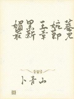 媚黑王婉蓉全文最新章节免费阅读