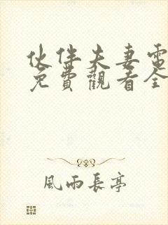 伙伴夫妻电视剧免费观看全集