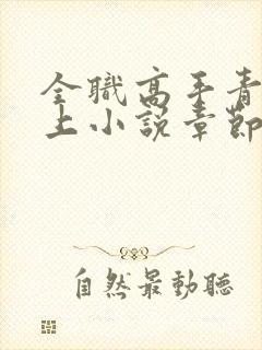 全职高手青鸾峰上小说章节目录