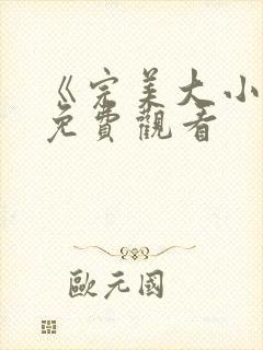 《完美大小姐》免费观看