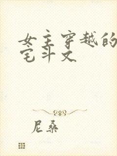 女主穿越的古言宅斗文