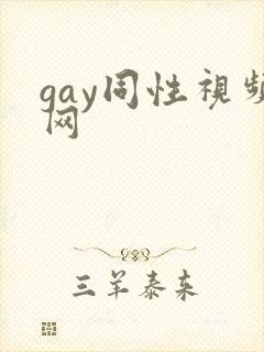 gay同性视频网