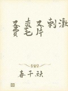 又爽又刺激的免费毛片封面