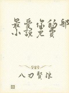 最爱你的那十年小说免费