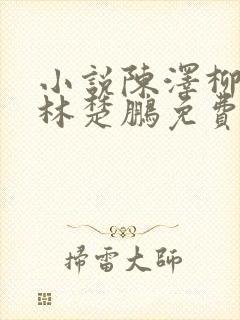 小说陈泽柳如烟林楚鹏免费阅读