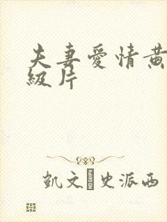 夫妻爱情黄色一级片封面