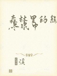 森林里的熊先生,冬眠中