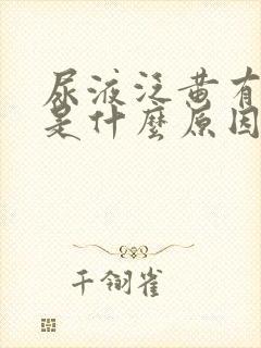 尿液泛黄有泡沫是什么原因