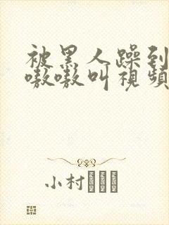 被黑人躁到高潮嗷嗷叫视频