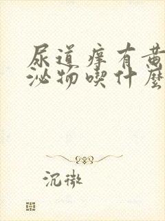 尿道痒有黄色分泌物吃什么药