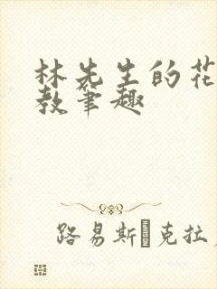 林先生的花式管教笔趣