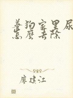 养狗家里尿骚味怎么去除