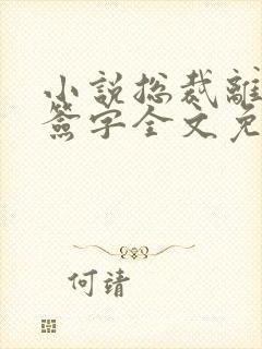 小说总裁离婚请签字全文免费阅读