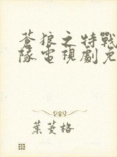 苍狼之特战突击队电视剧免费观看