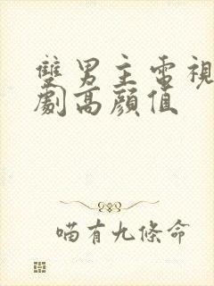 双男主电视剧韩剧高颜值封面