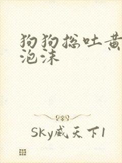 狗狗总吐黄水带泡沫