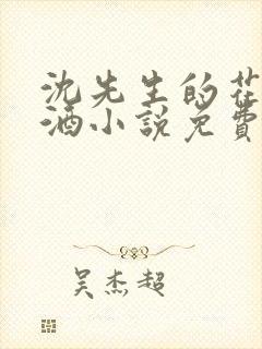 沈先生的花式调酒小说免费阅读