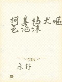 柯基幼犬呕吐白色泡沫