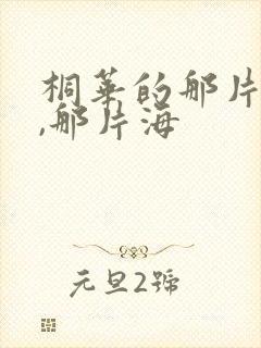 桐华的那片星空,那片海